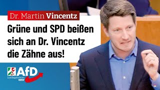 Grüne und SPD beißen sich an Dr Vincentz die Zähne aus – Dr Martin Vincentz AfD [upl. by Towrey253]