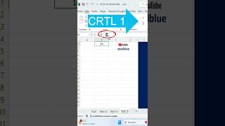 Como enumerar por Números ORDINALES en Excel excel excelblue exceltutorial [upl. by Anawal]