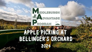 Apple Picking at Bellingers Orchard 2024 [upl. by Meedan]