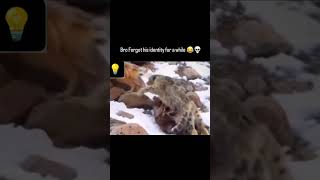 Dog 🐕 had bolitos for 11 sec 😅 lol  Voiceover ​⁠🎙️TheMaskedHibachi dog cheetah [upl. by Kellina]