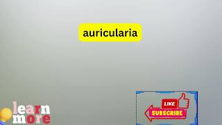 How to Pronounce auricularia [upl. by Ahcurb302]