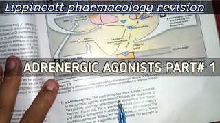 Adrenergic agonist part1  Lippincott pharmacology revision  autonomic pharmacology [upl. by Artie]