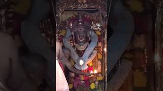 🌸Vetrivel muruganukku harohara🌸shortvideo murugan swamimalai thiruchendurmurugan palani [upl. by Hardan]