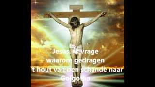 O Jesu zoet gekleurd met bloed door kroon en geselroede ORGEL SAMENZANG [upl. by Adams]