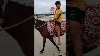 Horse riding 🐎🐎🐎 shorts trending viral tseries [upl. by Anihc]