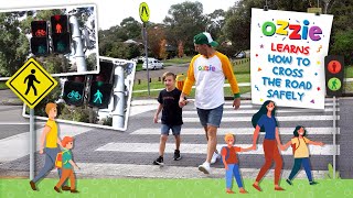 How To Cross The Road Safely With Ozzie  Stop Look Listen Think  Road Safety For Kids [upl. by Koller]