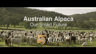 Why Alpaca is the Smart Future for Australia [upl. by Pedroza]