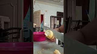 Easy faster cutting corn🌽trending satisfying youtubeshorts subscribe short shorts [upl. by Ynoep98]