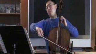 Felix Mendelssohn Song without Words for Cello [upl. by Mersey]