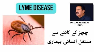 Lyme Disease  چچڑ کے کاٹنے سے انسان میں منتقل بیماری  Ixodes Ticks  Deer Tick [upl. by Enelyad48]