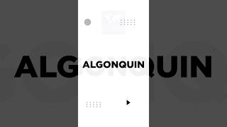 Study in Algonquin College  Apply for Upcoming Intakes [upl. by Neeron]