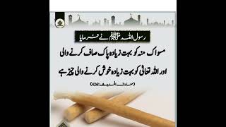 Hadees about miswak [upl. by Rawde]