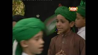 Bibi Amna Ke Phool  Farhan Ali Qadri  OSA Official HD Video [upl. by Salb]