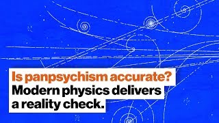 Is panpsychism accurate Modern physics delivers a reality check  Dr Susan Schneider  Big Think [upl. by Yawnoc287]