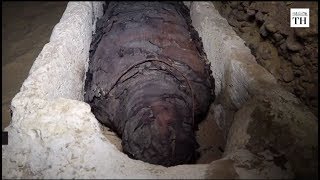 Researchers discover 40 mummies at ancient Egyptian burial site [upl. by Vogel324]