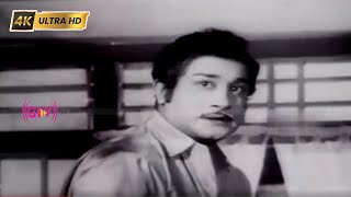 Happy Birthday Song  Ratha Thilagam  Sivaji Ganesan Savitri Ganesan  K V Mahadevan [upl. by Otiragram]