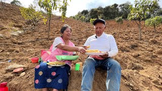 Mi esposo fue a sembrar maíz le llevo de comer TACOS DORADOS para que comamos juntos en el campo [upl. by Notyad]