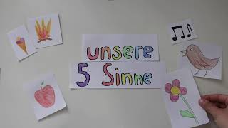 Unsere 5 Sinne erklärt [upl. by Crist]