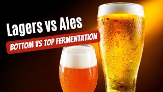 Beer 101 Lagers vs Ales [upl. by Latsyk824]