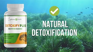 Sea Moss Benefits  Introducing DetoxifyPlus Capsules [upl. by Gilletta]