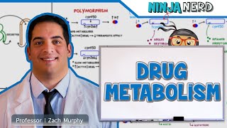 Pharmacokinetics  Drug Metabolism [upl. by Novit]