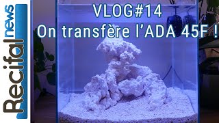 VLOG14 Axel  Transfert dun nano aquarium récifal [upl. by Akemat]