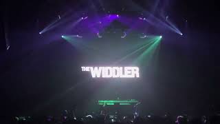 The Widdler  Live  Mission Ballroom 2024 [upl. by Olav390]