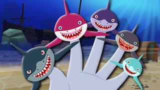 Finger Family  Shark Finger Family  Song For Kids [upl. by Yleek]