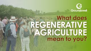 What does Regenerative Agriculture mean to you  Groundswell 2023 [upl. by Feinberg]