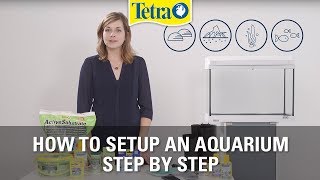 How to set up an aquarium  Fish tank setup step by step [upl. by Yniar]