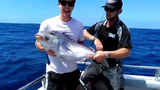 8kg 90cm Blue Morwong Reef Encounters Fishing Charters [upl. by Richmound]