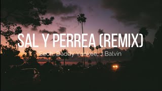 Sech amp Daddy Yankee amp J Balvin  Sal Y Perrea Remix Letra  Lyrics  Music World amp lyrics [upl. by Filomena]