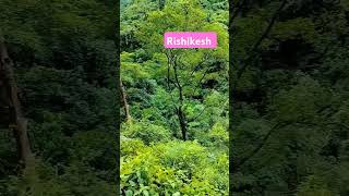 Susan ilaka rishikesh nature uk wildlife shortsvideo virelshorts [upl. by Abijah71]