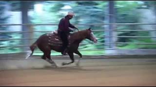 Futurity 4 Year Open Final [upl. by Darn]