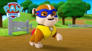 The Pups Face Their Fears  PAW Patrol Episode  Cartoons for Kids Compilation [upl. by Jose]