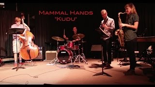 Kudu  Band Cover  Mammal Hands [upl. by Meryl652]