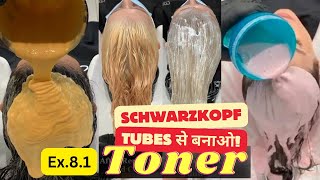 Toner Color Class Ex81  Schwarzkopf Tube से कैसे बनाए Hair Toner Detail Class  Salonfact [upl. by Enitsyrhc774]