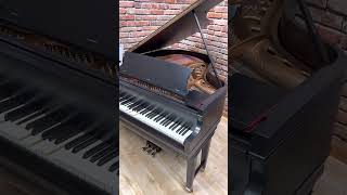 1922 Chickering amp Sons Reproducing Grand Piano Ampico Model A [upl. by Dorreg]