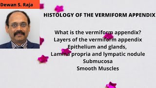 HISTOLOGY OF THE VERMIFORM APPENDIX [upl. by Yntirb]