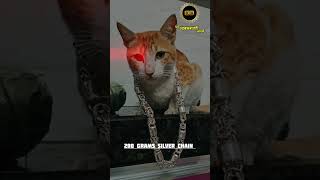 Handmade silver chain chain silvermaking silverchains jewelry cat catlover puresilver [upl. by Orly]