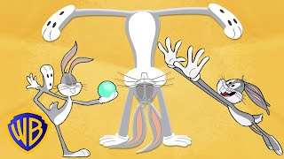 Looney Tunes präsentiert Sport spielend leicht erklärt Gymnastik  WBKidsDeutschland [upl. by Fayina819]