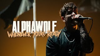 Alpha Wolf  Whenever Youre Ready OFFICIAL MUSIC VIDEO [upl. by Trebliw]