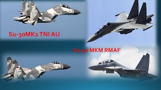 Su30MK2 VS SU30MKM  The Comparison [upl. by Sarette]