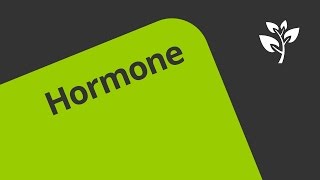 Die Wirkungsweise der Hormone  Biologie  Humanbiologie [upl. by Becka]