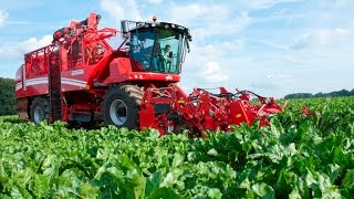 GRIMME REXOR 620  selfpropelled beet harvester [upl. by Deane]