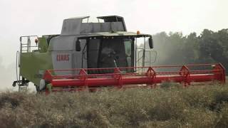 Claas Lexion 740 with vario 750 header working in norfolk [upl. by Enilram]