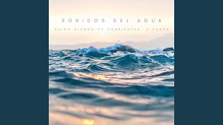 Sonidos Del Agua Ruido Blanco De Corrientes  3 Horas [upl. by Divadnhoj]