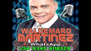 Waldemaro Martinez voiceover  Tip de seguridad [upl. by Ellehsal187]