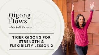 Tiger Qigong for Flexibility Lesson Lesson 2 [upl. by Euqinoj]