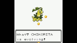 Chikorita evolves into Bayleef  Pokémon Crystal [upl. by Chaudoin]